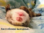 Аватар користувача
