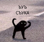 Аватар користувача