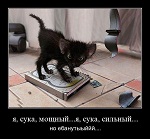 Аватар користувача