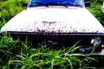 Аватар користувача