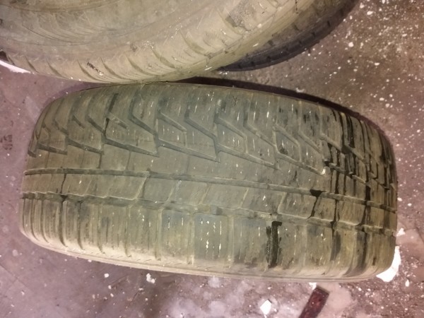 20190131_121801.jpg