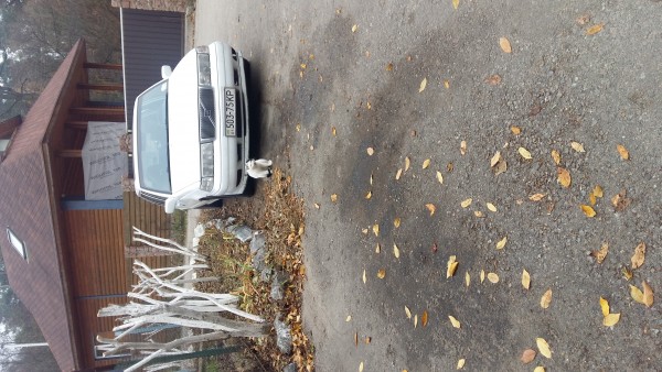 20181104_120958.jpg
