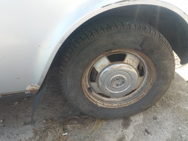 20190816_090305.jpg