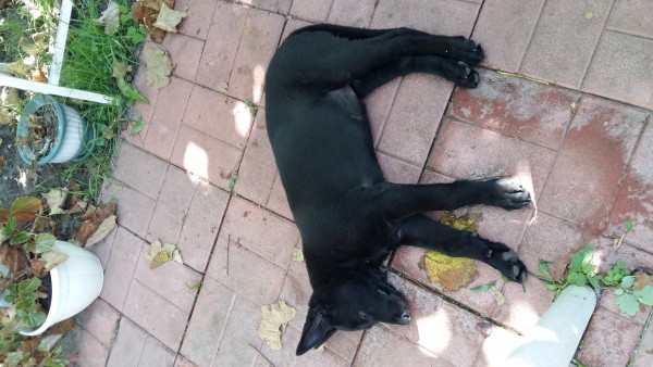 20190901_112533.jpg
