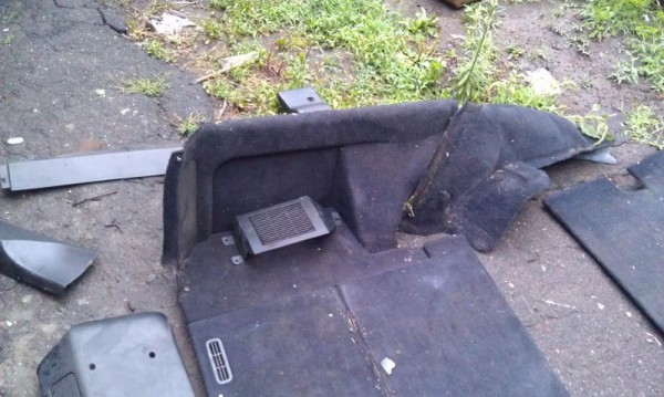 IMAG0175.jpg