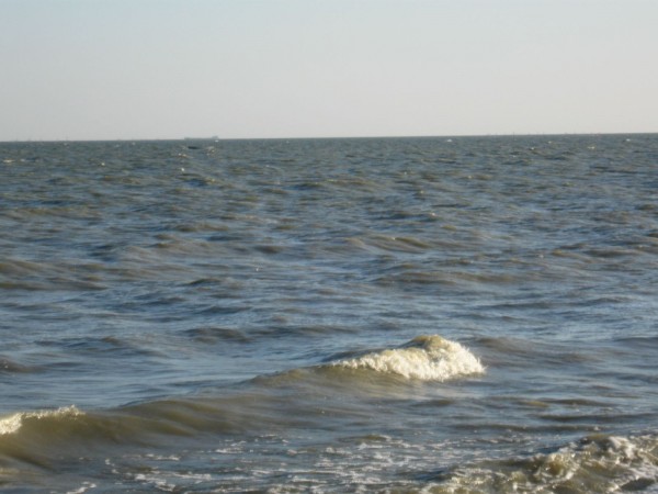 IMG_0171_1.JPG