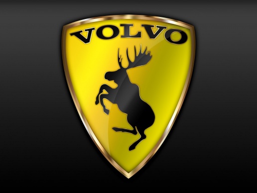 mota_ru_10311105-preview.jpg