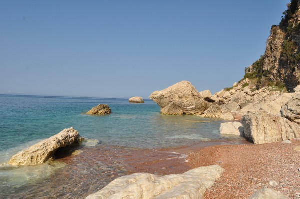DSC_1019.JPG