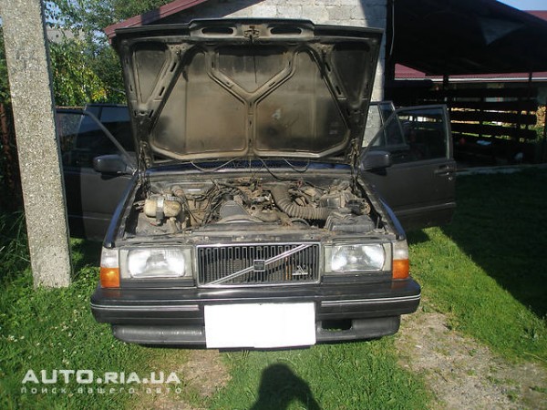 86175362f.jpg