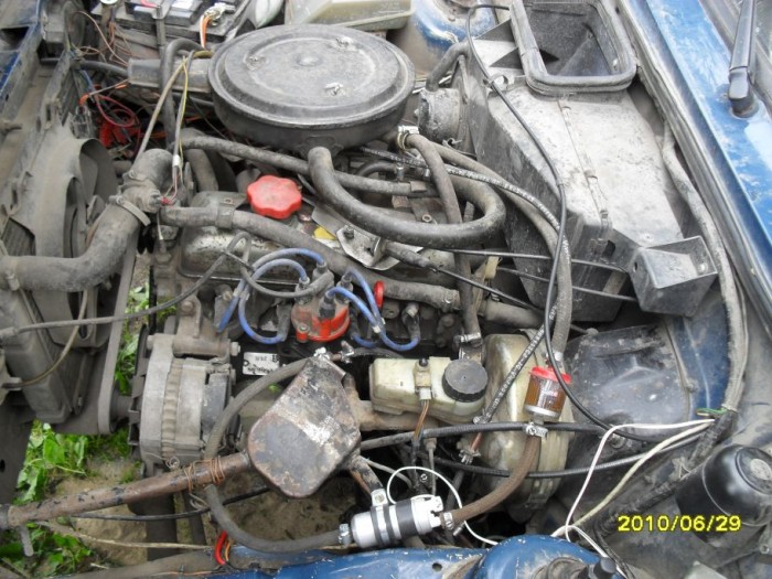 SDC11111.jpg
