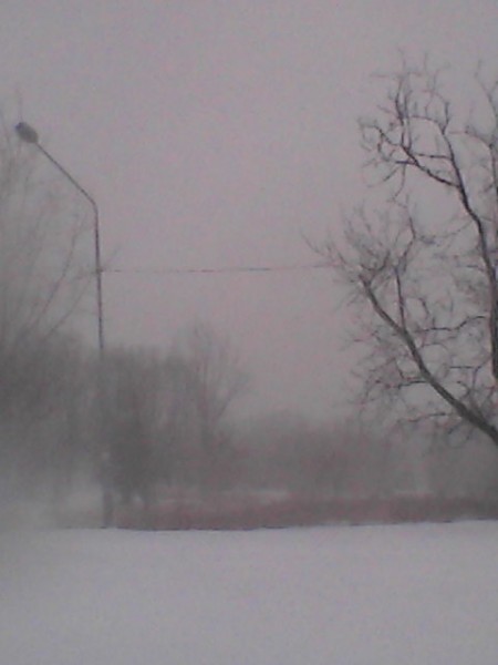 IMG_20141227_143533.jpg