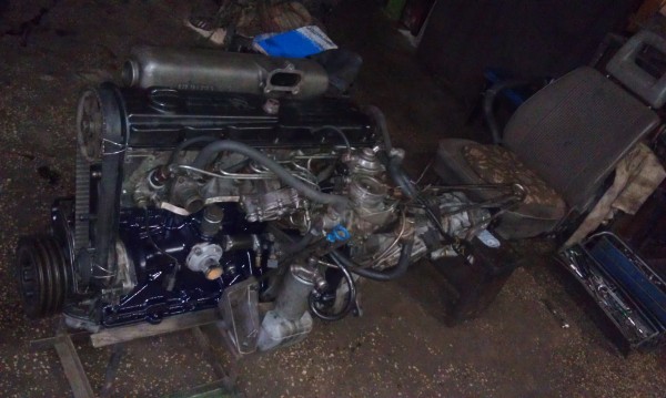 IMAG0951.jpg