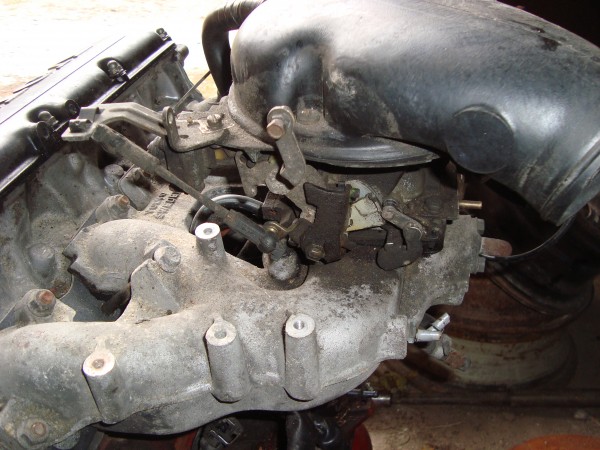 DSC03315.JPG