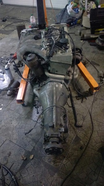 2kYCZERaQp8.jpg